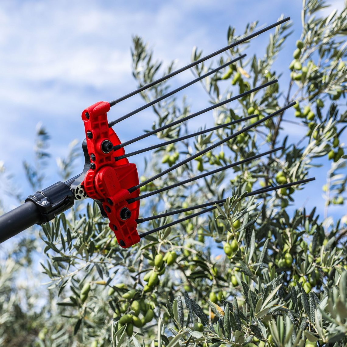 Photo of PW3 alternating olive harvester - INFACO
