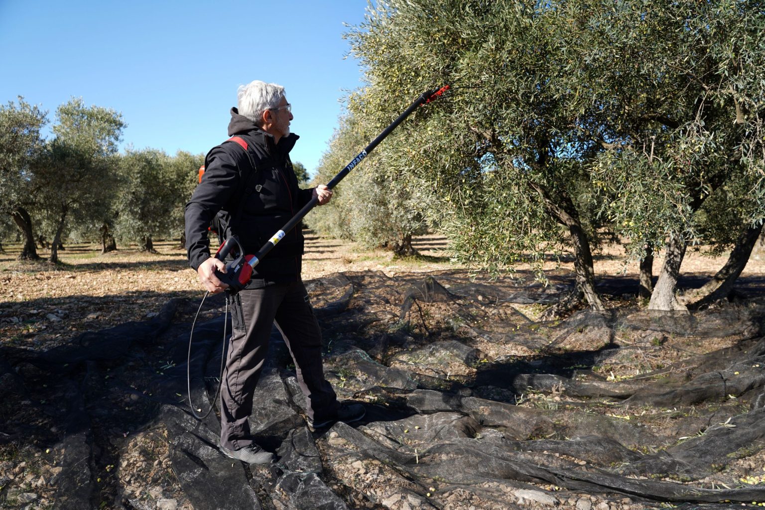 Photo oléiculture vibreur à olives poignée multifonction PW3 - INFACO