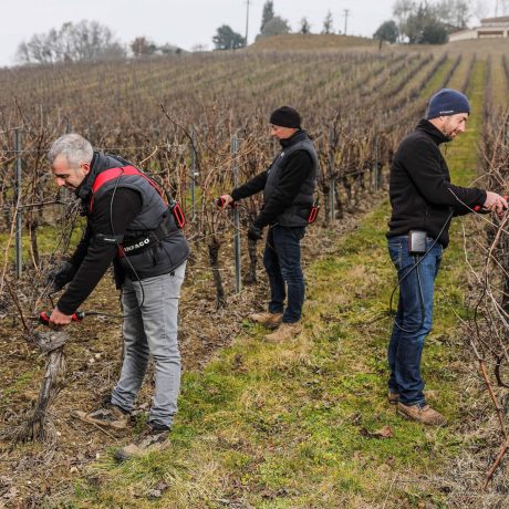 3 viticulteurs munis de sécateurs électriques professionnel F3020 en viticulture - INFACO