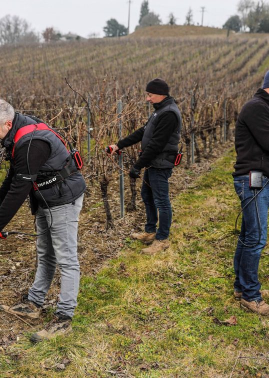 3 viticulteurs munis de sécateurs électriques professionnel F3020 en viticulture - INFACO