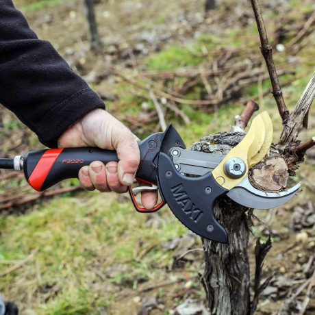 Sécateur électrique professionnel F3020 tête maxi utilisation gaucher en viticulture - INFACO