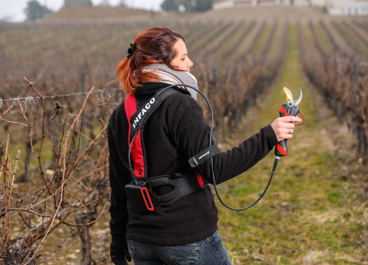 Sécateur électrique professionnel F3020 portage gilet en viticulture - INFACO