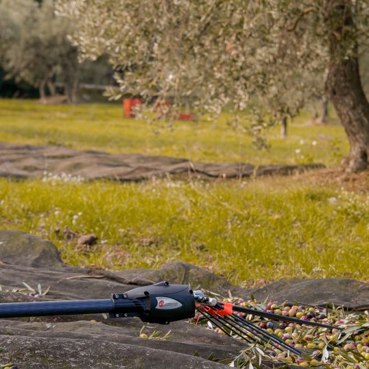 Photo vibreur à olives elliptique V5000 PW3 - INFACO