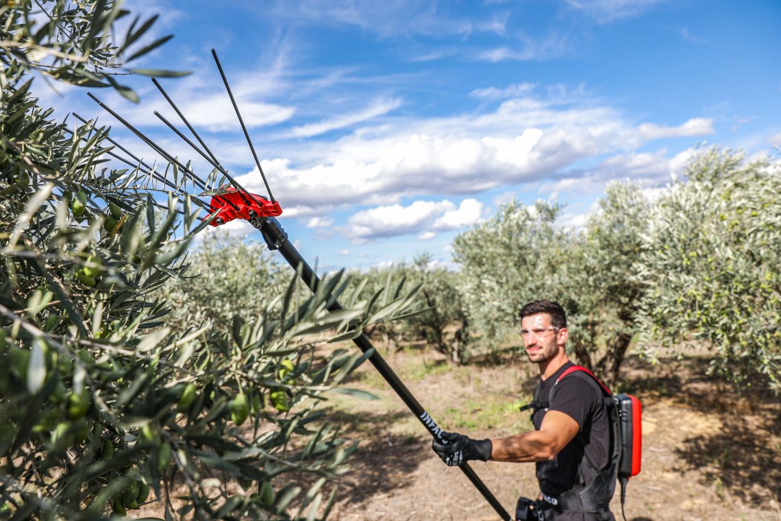 Olive harvester V5000 Electroliv Infaco