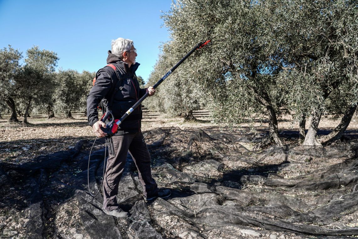Photo of V5000 PW3 alternating olive harvester - INFACO