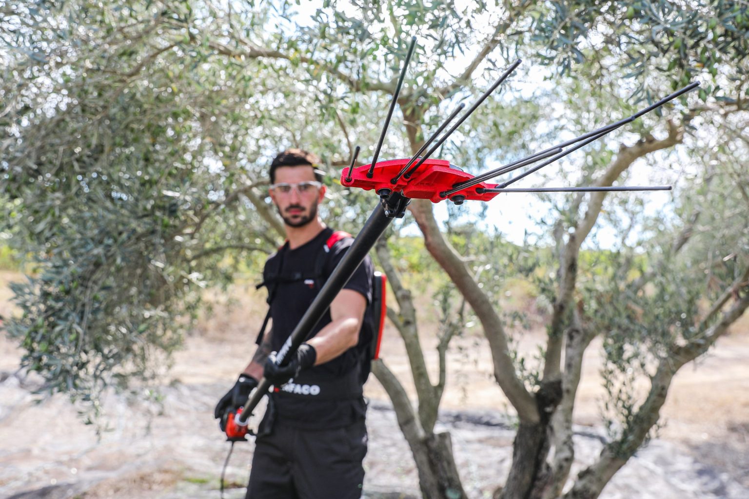 Photo vibreur à olives alternatif PW3 - INFACO