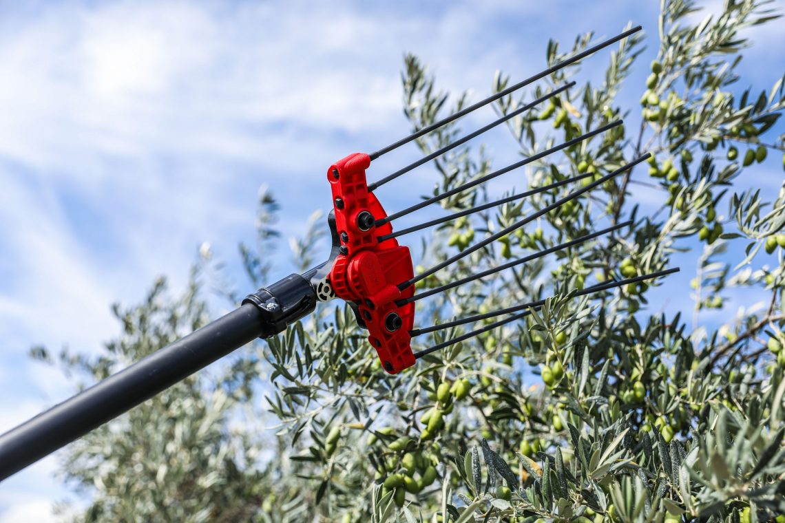 Photo tête du vibreur à olives alternatif PW3 - INFACO