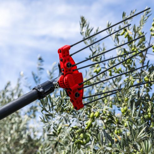 Photo tête du vibreur à olives alternatif PW3 - INFACO