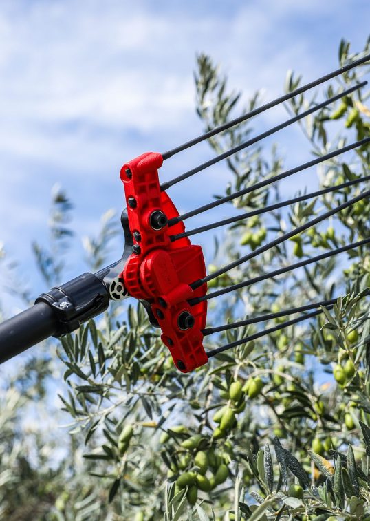 Photo tête du vibreur à olives alternatif PW3 - INFACO