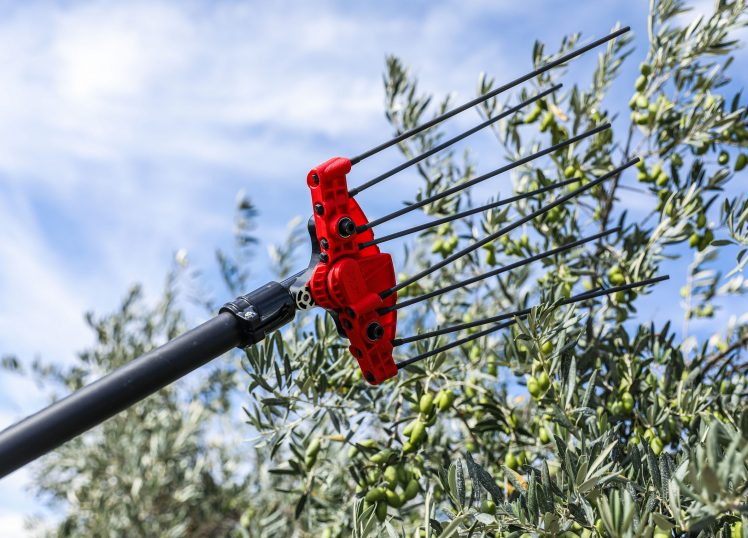 Photo tête du vibreur à olives alternatif PW3 - INFACO