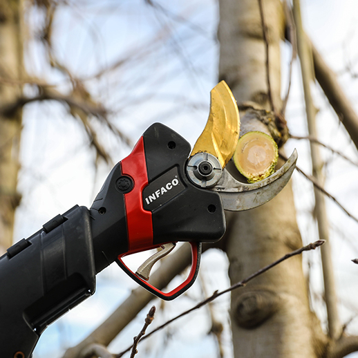 sécateur électrique sur perche en arboriculture F3020 tête medium