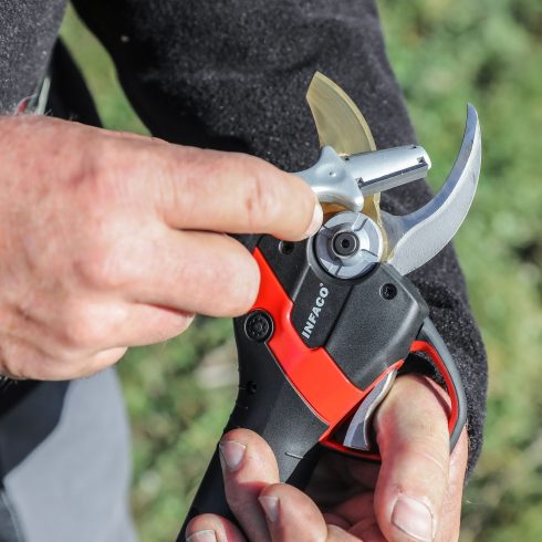 Professionelle elektrische Baum-, Reb- und Gartenschere F3020 mit Schärfer Standardkopf - INFACO