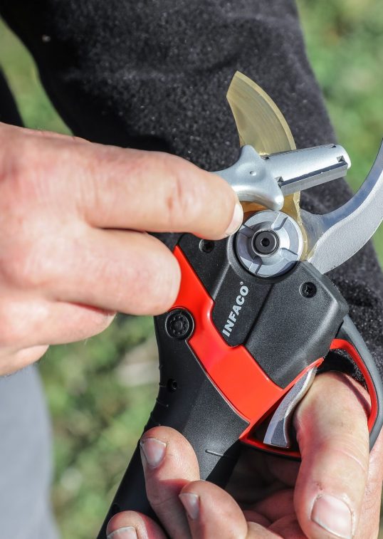 Professional electric pruning shears F3020 with sharpener and standard head - INFACO