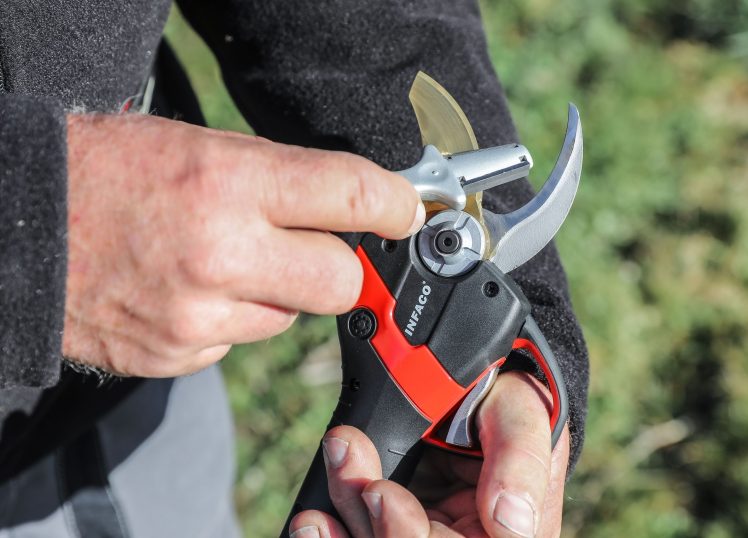 Podadora eléctrica profesional F3020 con afilador y cabezal estándar - INFACO