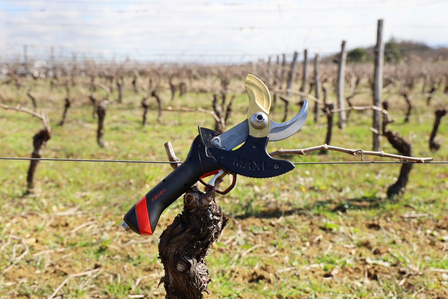 Photo sécateur électrique professionnel F3020 tête maxi en viticulture - INFACO