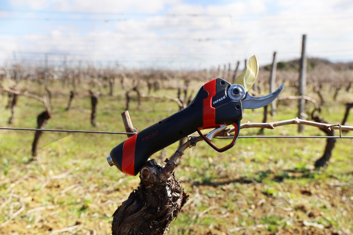 Sécateur électrique professionnel F3020 en viticulture - INFACO