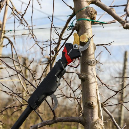 sécateur télescopique en arboriculture infaco electrocoup f3020