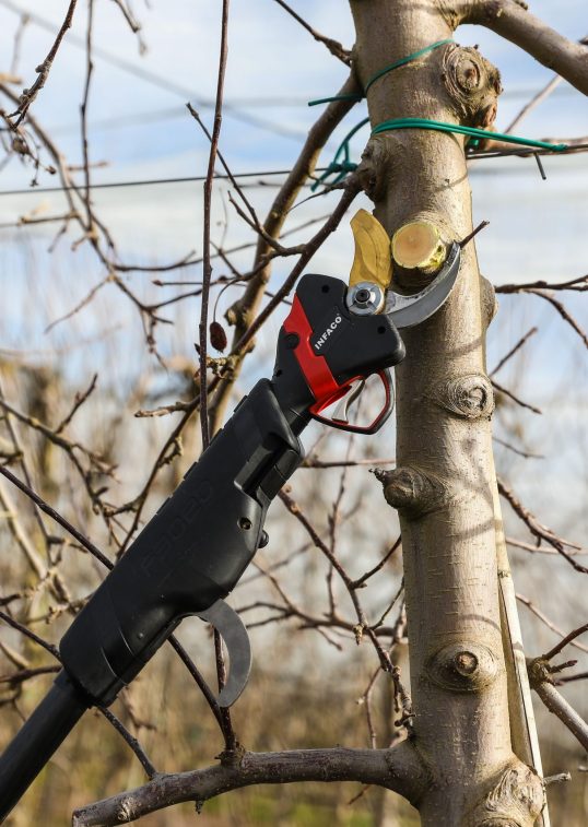 sécateur télescopique en arboriculture infaco electrocoup f3020