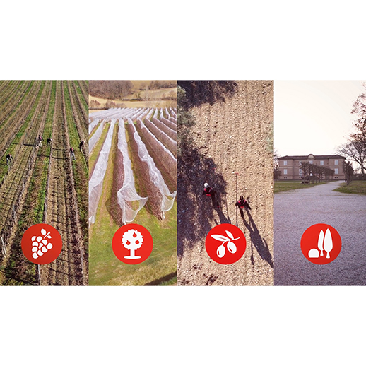 Vista das 4 profissões: viticultura, arboricultura, olivicultura, espaços verdes - INFACO