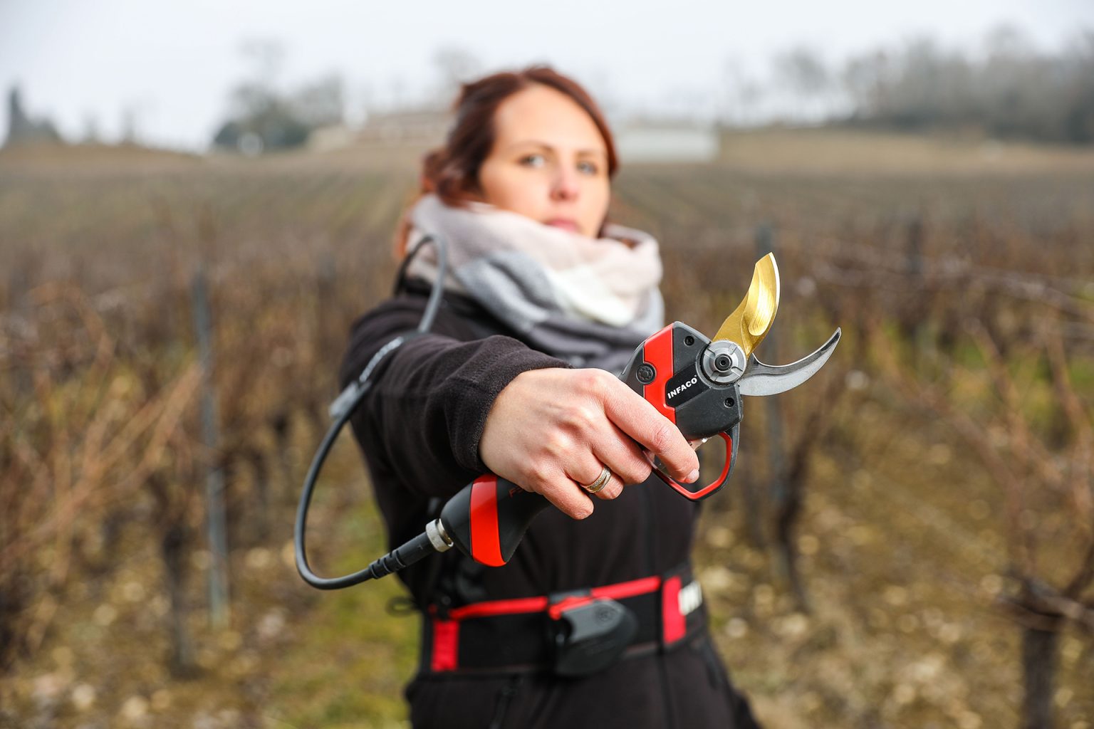 Photo sécateur électrique professionnel F3020 en viticulture - INFACO