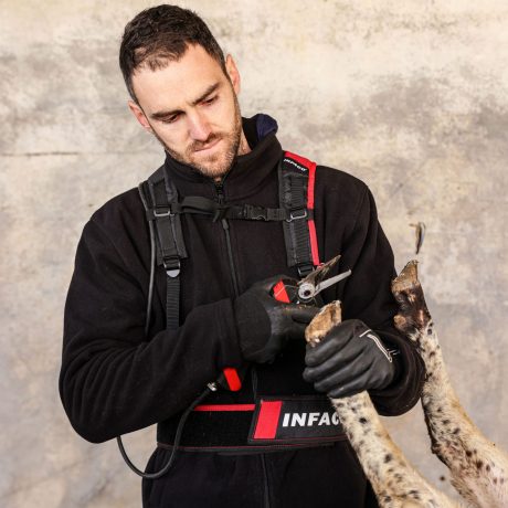 Parage onglons coupe nette au secateur electrique professionnel kit onglon F3020 moutons - INFACO