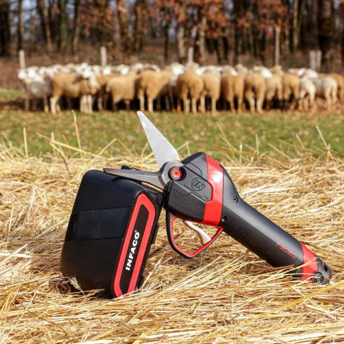 Sécateur électrique tête onglon F3020 - INFACO