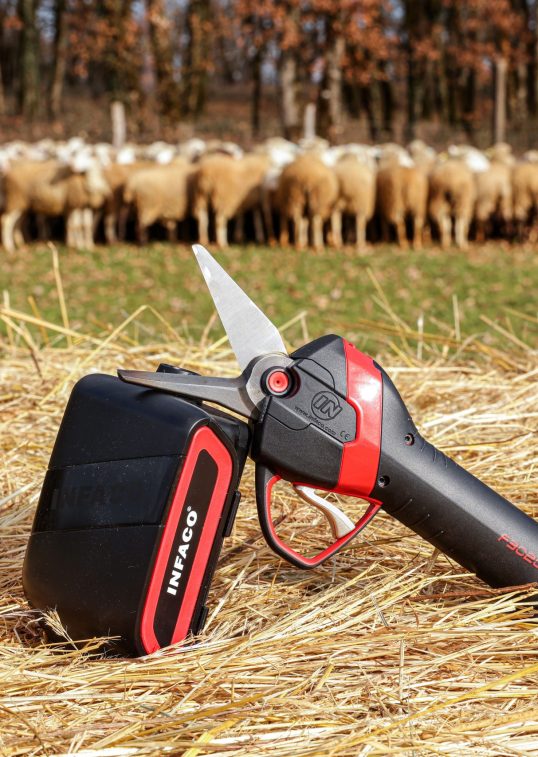 Sécateur électrique tête onglon F3020 - INFACO