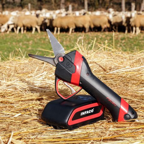 Sécateur électrique tête onglon F3020 - INFACO