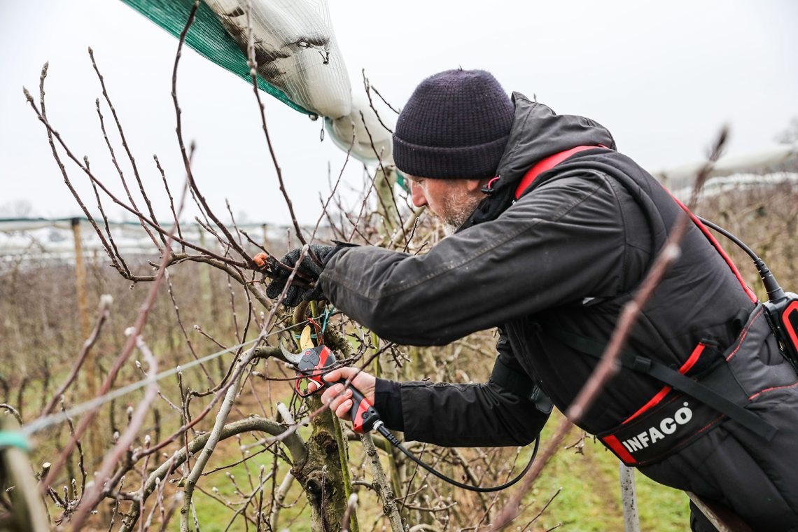 foto-secateur-f3020-gant-security-arboriculture