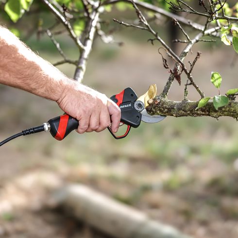 sécateur-electrique-professionnel-medium-taille-vert-branche-INFACO