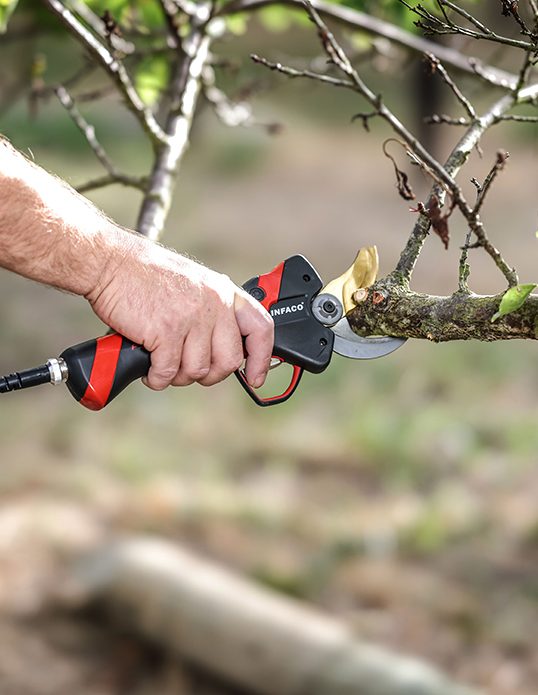 sécateur-electrique-professionnel-medium-taille-vert-branche-INFACO