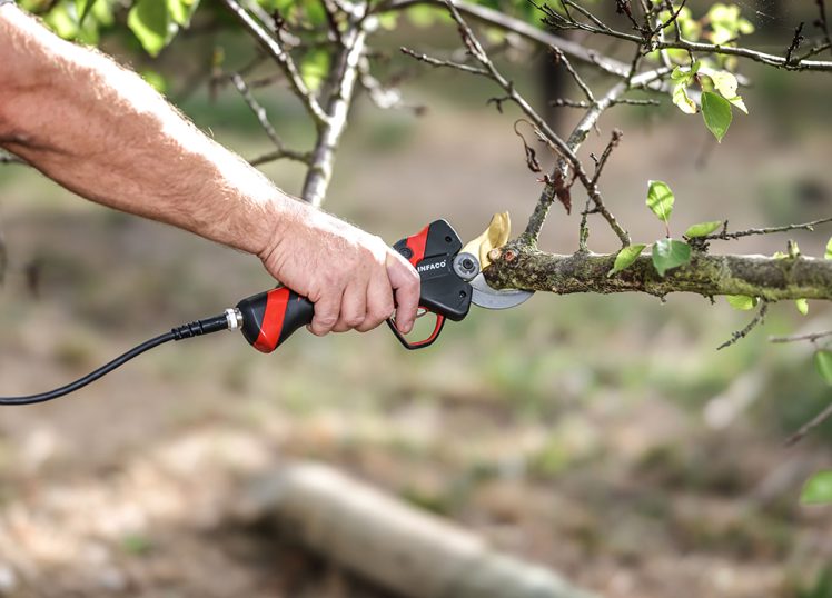 sécateur-electrique-professionnel-medium-taille-vert-branche-INFACO