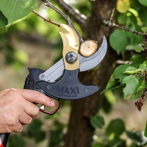 Elektrische Gartenschere-Maxi-Größe-Grün-INFACO