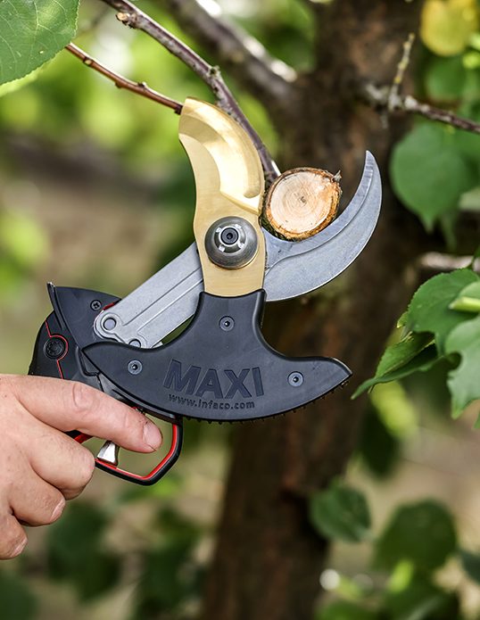 Elektrische Gartenschere-Maxi-Größe-Grün-INFACO