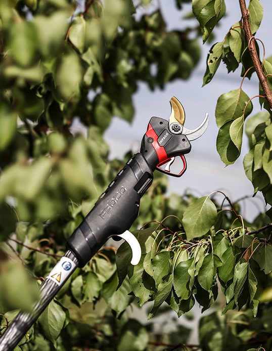 sécateur-electrique-medium-sur-perche-taille-vert-INFACO