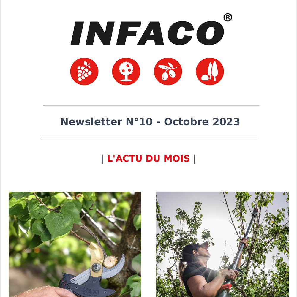 Newsletter clients octobre 2023 - INFACO
