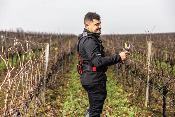 Tailleur équipé du boitier connecté sur sécateur électrique professionnel F3020 INFACO