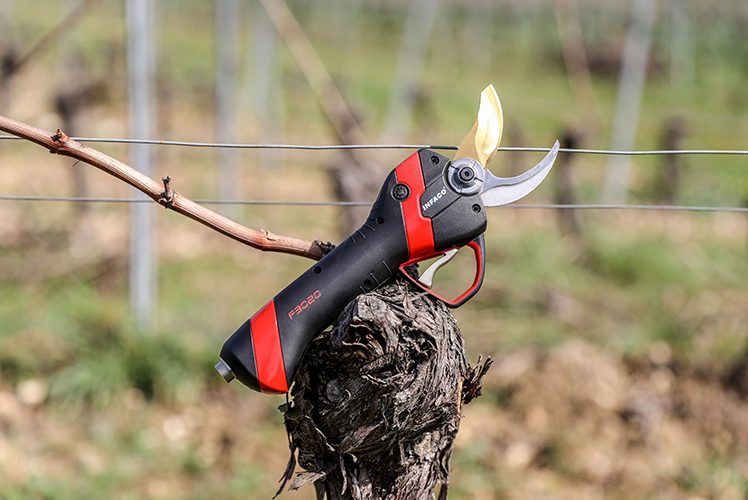 Sécateur électrique F3020 posé sur une souche.