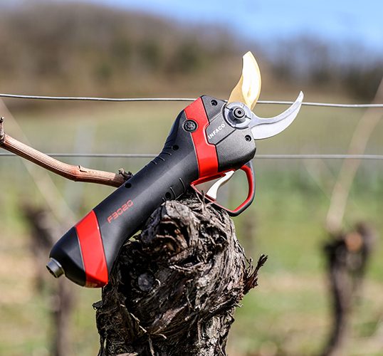 Sécateur électrique F3020 posé sur une souche. Sécateur électrique F3020 posé sur une souche.