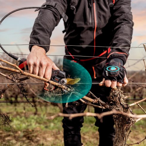 Baum-, Reb- und Gartenschere F3020 und DSES Contactless Sender in Weinreben