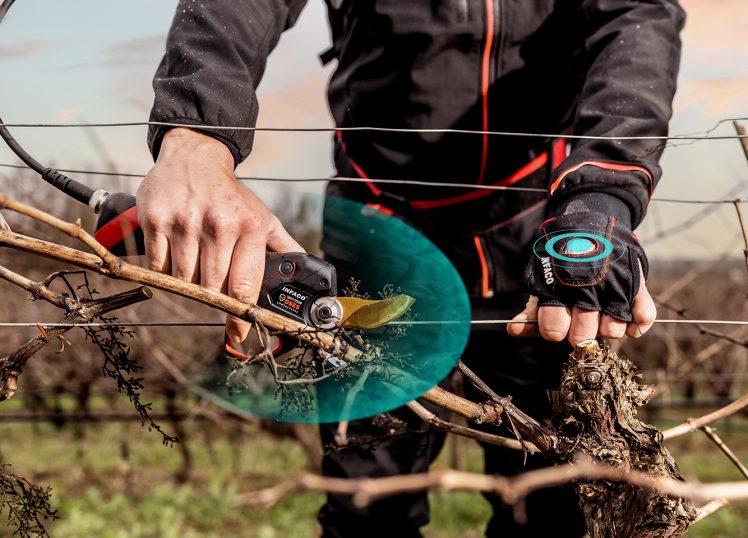 Sécateur F3020 et boitier émetteur DSES Contactless en vigne