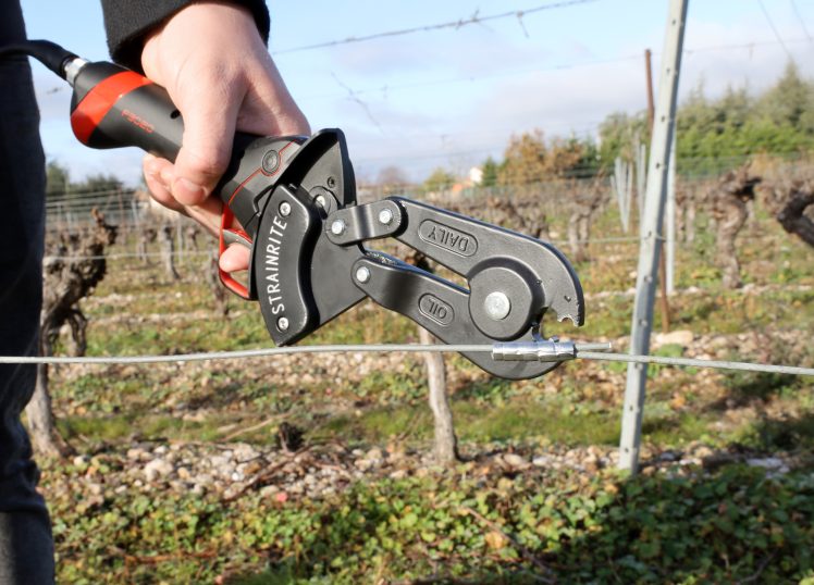 Pince à sertissage STRAINRITE sur sécateur électrique F3020 en vigne Pince à sertissage STRAINRITE sur sécateur électrique F3020 en vigne