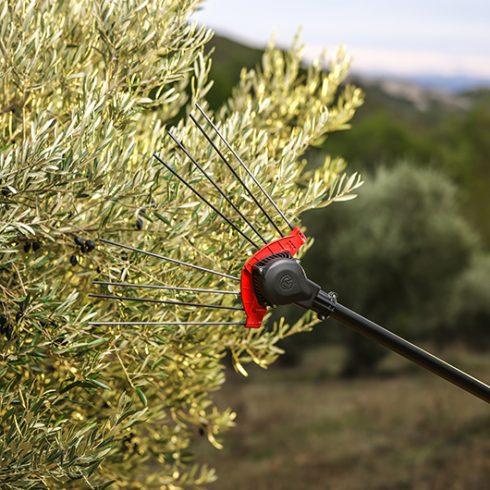Tête vibreur à olives V5000
