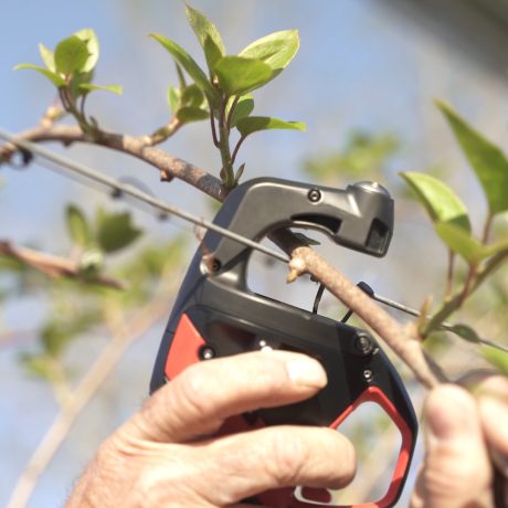 AT1000 en cours d'attache en kiwi