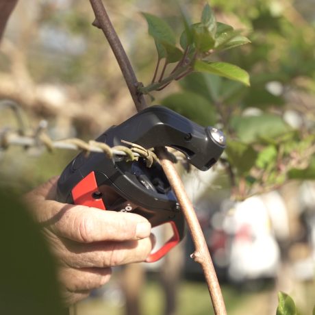 AT1000 en cours d'attache en kiwi