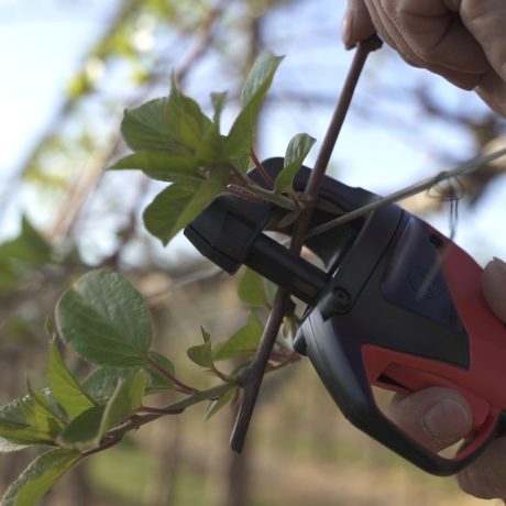 AT1000 en cours d'attache en kiwi